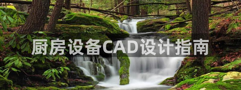 尊龙app最新版本官网：厨房设备CAD设计指南