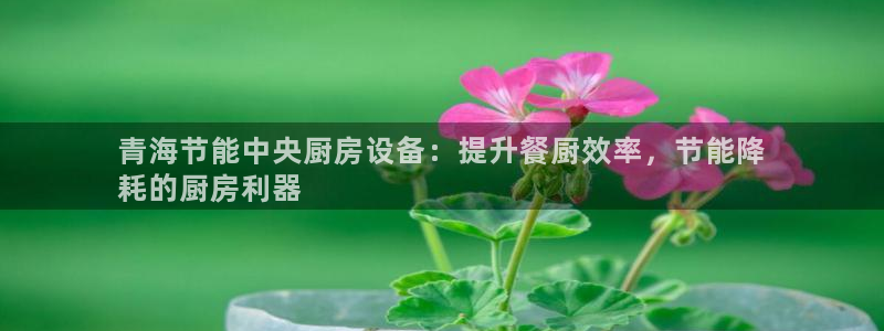 尊龙科技：青海节能中央厨房设备：提升餐厨效率，节能降
耗的厨