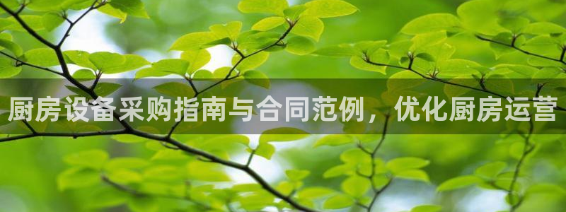 尊龙目前照片：厨房设备采购指南与合同范例，优化厨房运营