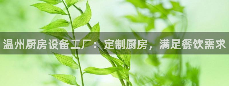 尊龙凯时·中国官方网站：温州厨房设备工厂：定制厨房，满足餐饮